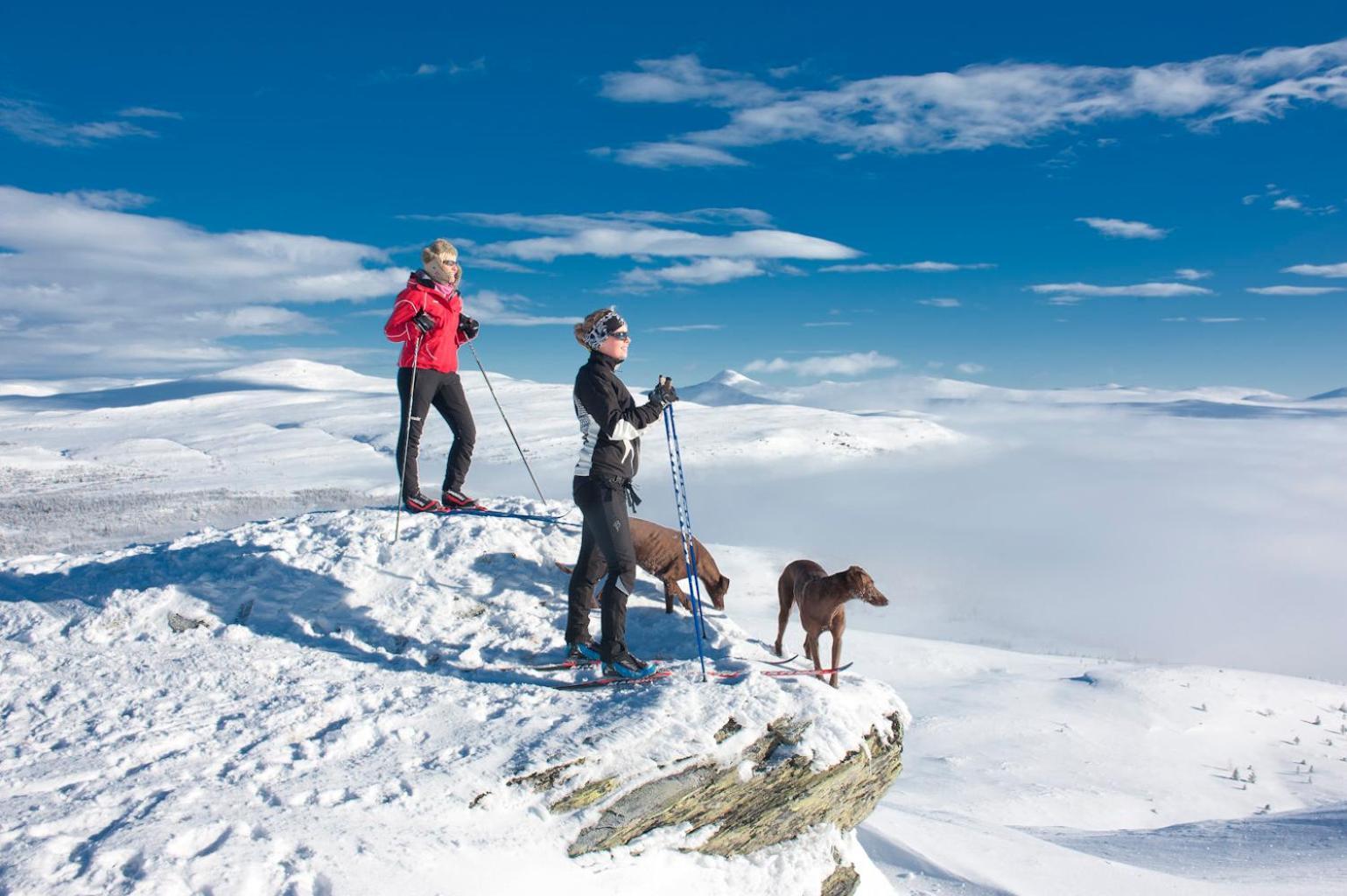 Spidsbergseter Resort Rondane Venabygd Экстерьер фото