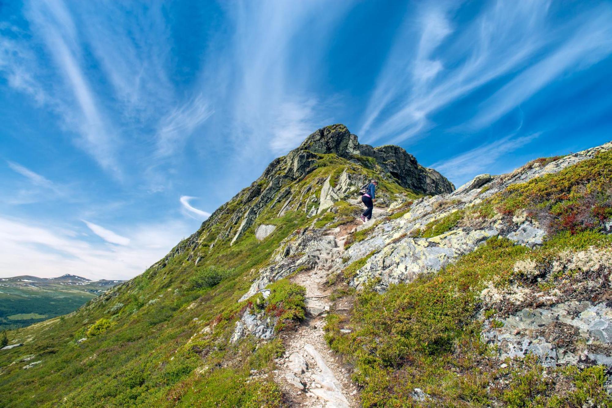 Spidsbergseter Resort Rondane Venabygd Экстерьер фото