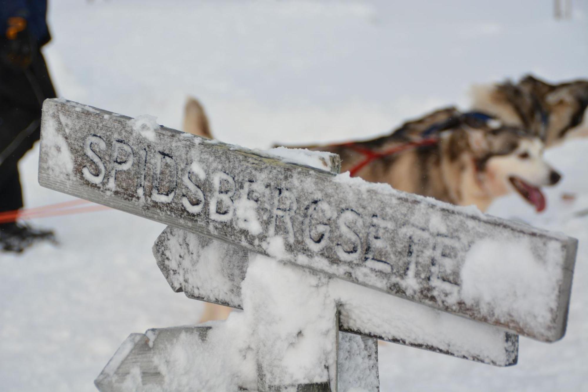Spidsbergseter Resort Rondane Venabygd Экстерьер фото