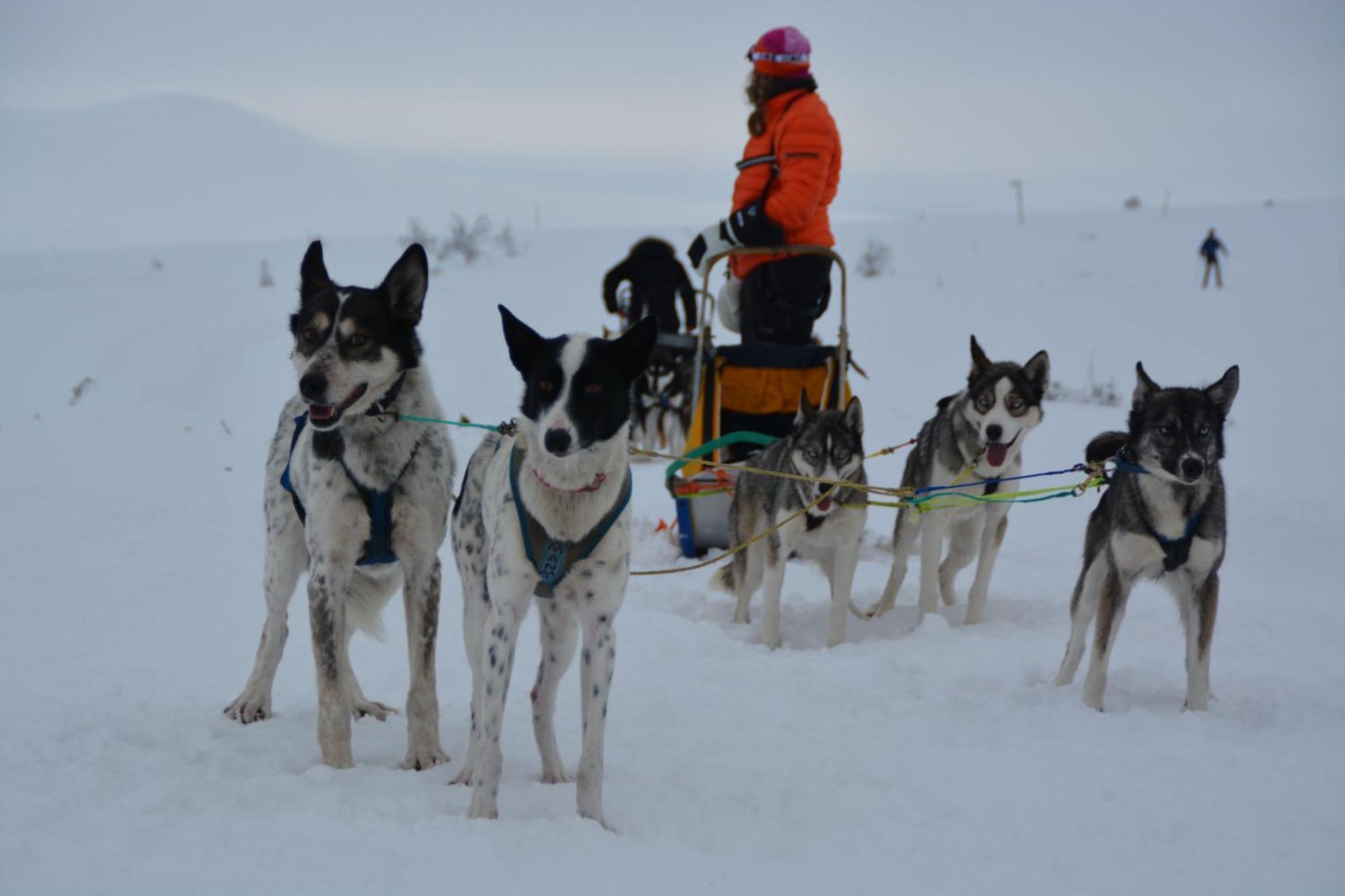 Spidsbergseter Resort Rondane Venabygd Экстерьер фото